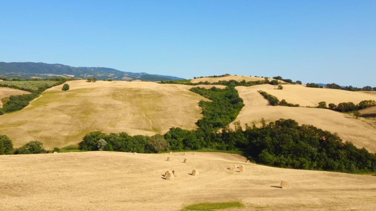 Glamping Le Dune Cinigiano Kültér fotó