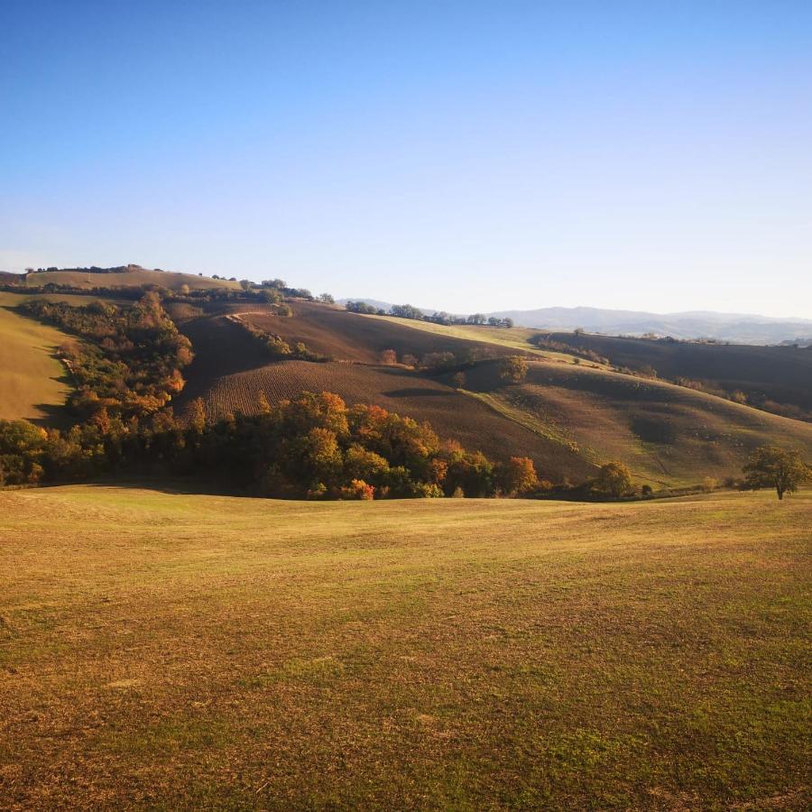 Glamping Le Dune Cinigiano Kültér fotó