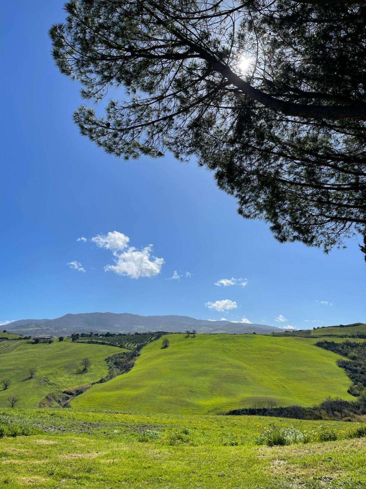 Glamping Le Dune Cinigiano Kültér fotó