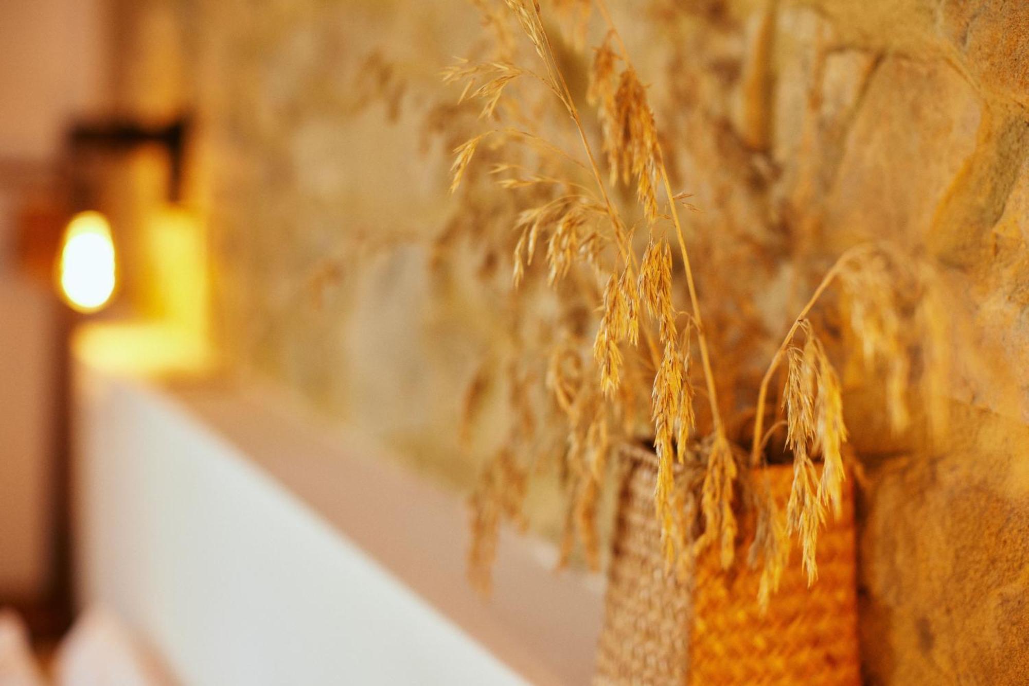 Glamping Le Dune Cinigiano Kültér fotó